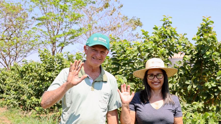 Família Chiquito se torna referência na produção de goiabas