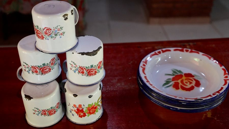 Sítio Harmonia ganha vida nova com o Senar/MS e se torna referência em turismo rural