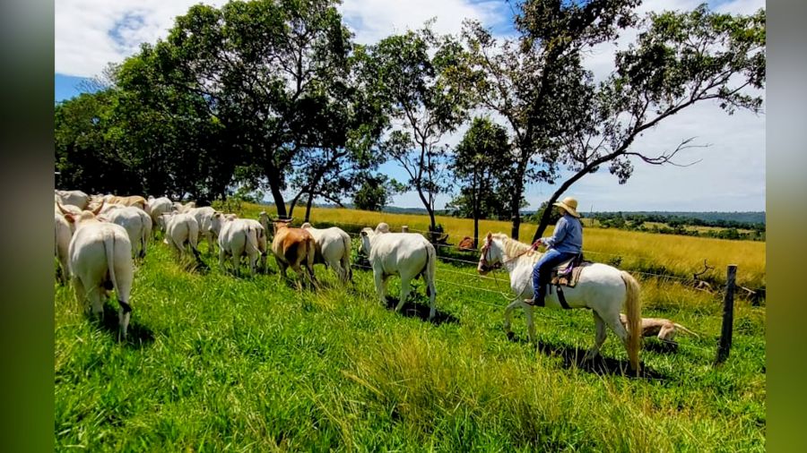Donas do Agro do Senar/MS fez Valda enxergar sua força como gestora