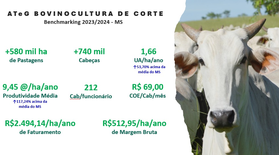 Produtores que adotam gestão técnica atravessam ciclo pecuário com maior margem