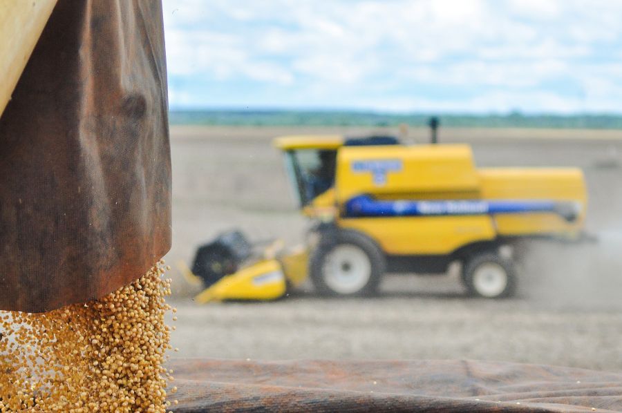 MS supera US$ 10 bi em exportações e lidera avanço do agro nacional em 2025