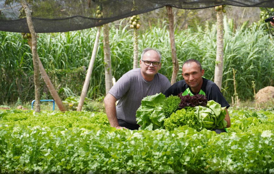 Produtores atendidos pelo Senar/MS conquistam primeiro lugar no prêmio Fazenda Sustentável 2026 Produtores atendidos pelo Senar/MS conquistam primeiro lugar no prêmio Fazenda Sustentável 2026