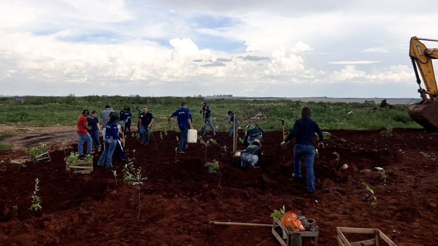 Jovens transformam lixão em floresta urbana com apoio do Senar/MS em Ponta Porã