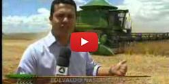 Embedded thumbnail for Produtores aceleram a colheita da soja em MS - Globo Rural