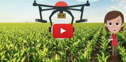 Embedded thumbnail for Práticas Agropecuárias que Garantem Alimentos Saudáveis - Controle Biológico