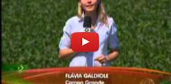 Embedded thumbnail for Resultados do agronegócio em 2013 são apresentados no MS Rural - TV Morena