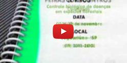 Embedded thumbnail for Cursos do Senar/MS no Record Rural