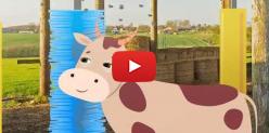 Embedded thumbnail for Práticas Agropecuárias que Garantem Alimentos Saudáveis - Cow Brush