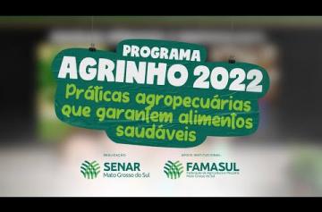 Embedded thumbnail for Programa Agrinho 2022