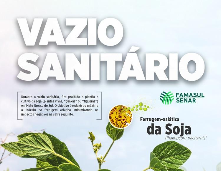 Vazio sanitário da soja vai de 13 de julho a 10 de outubro no Rio