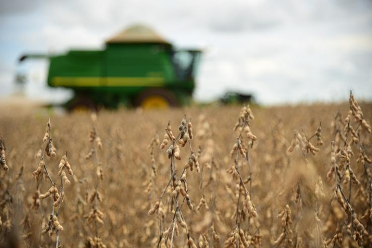 Lançamento oficial da colheita da soja e plantio do milho em MS |  Agropecuária MS | Sistema Famasul